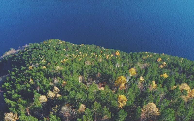 Mural comunitario - Villa Urquiza