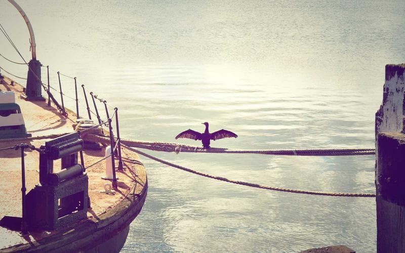 Artes marciales para chicos - Almagro