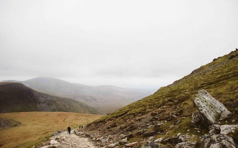 Diseño 3D e impresión - Caballito