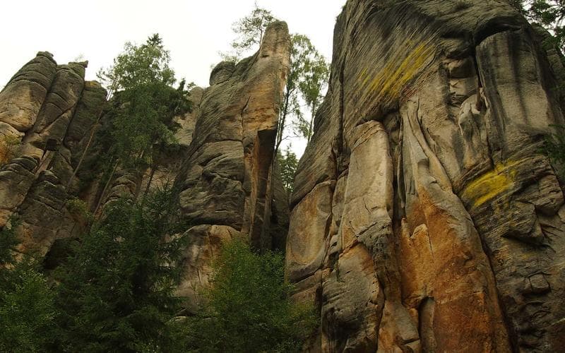 Taller de pizza y pasta - Villa Crespo